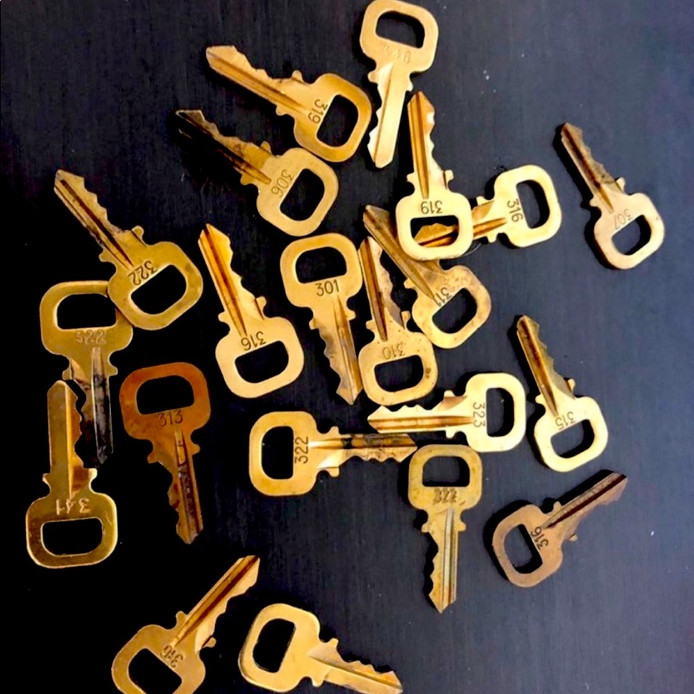 In need of 301 key for Louis Vuitton lock.